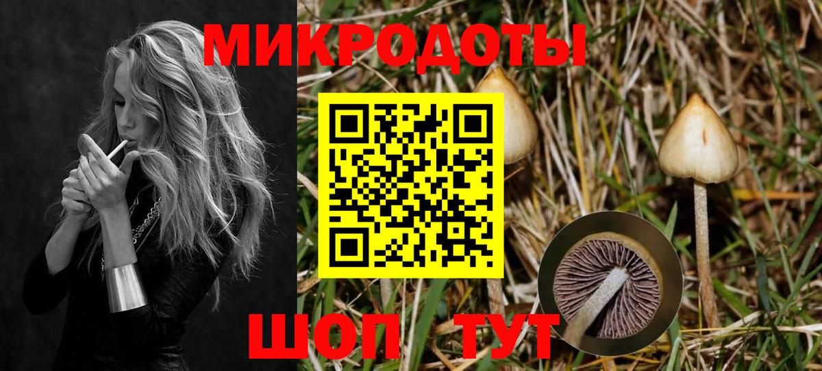 Псилоцибиновые грибы Cubensis Мичуринск