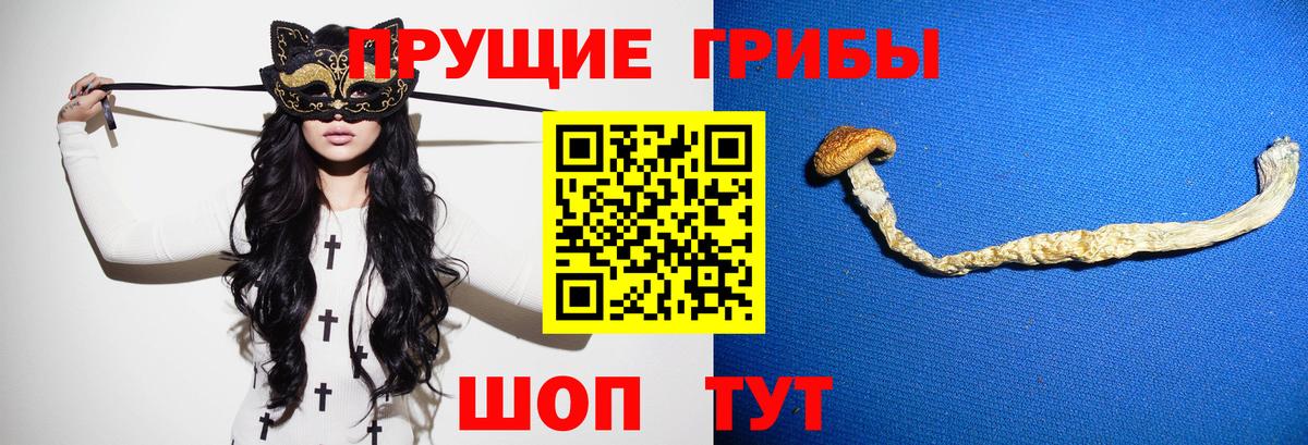 Псилоцибиновые грибы Magic Shrooms  Псилоцибиновые грибы ЛСД  Вход с VPN  Мичуринск 